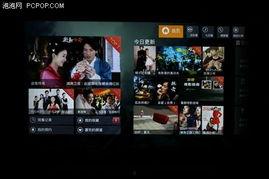 云清爆料视频最新,行业内幕大曝光！